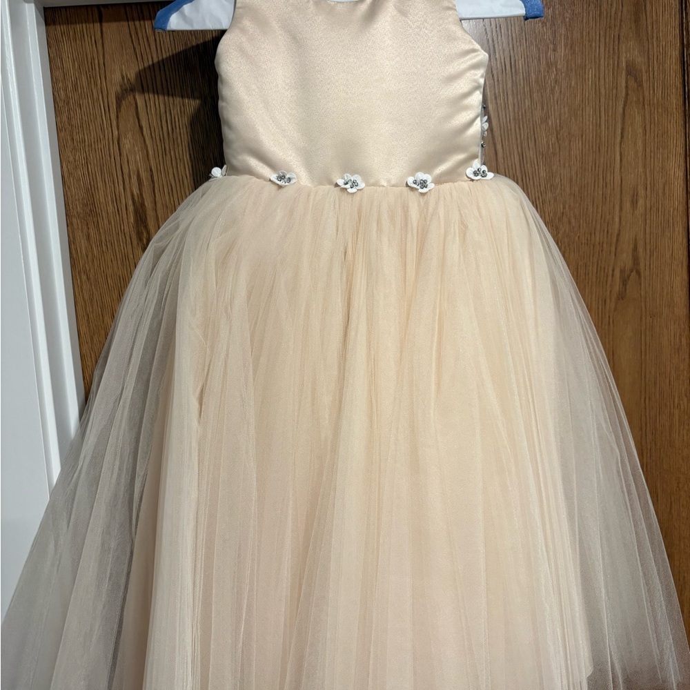 Amalee accessories size 4 flower girl dress (champagne color)